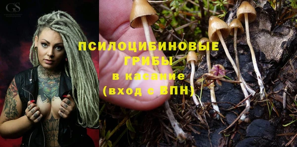 дурь Баксан