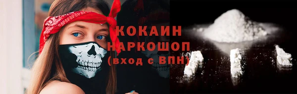 прущие крисы Балахна