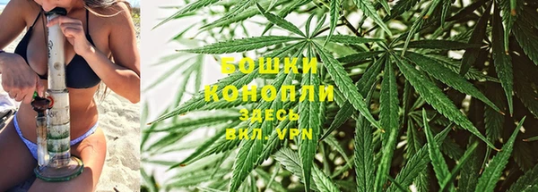 прущие крисы Балахна