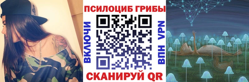 купить  цена  Протвино  Псилоцибиновые грибы Psilocybine cubensis 