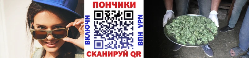 где найти   Протвино  Конопля тримм 